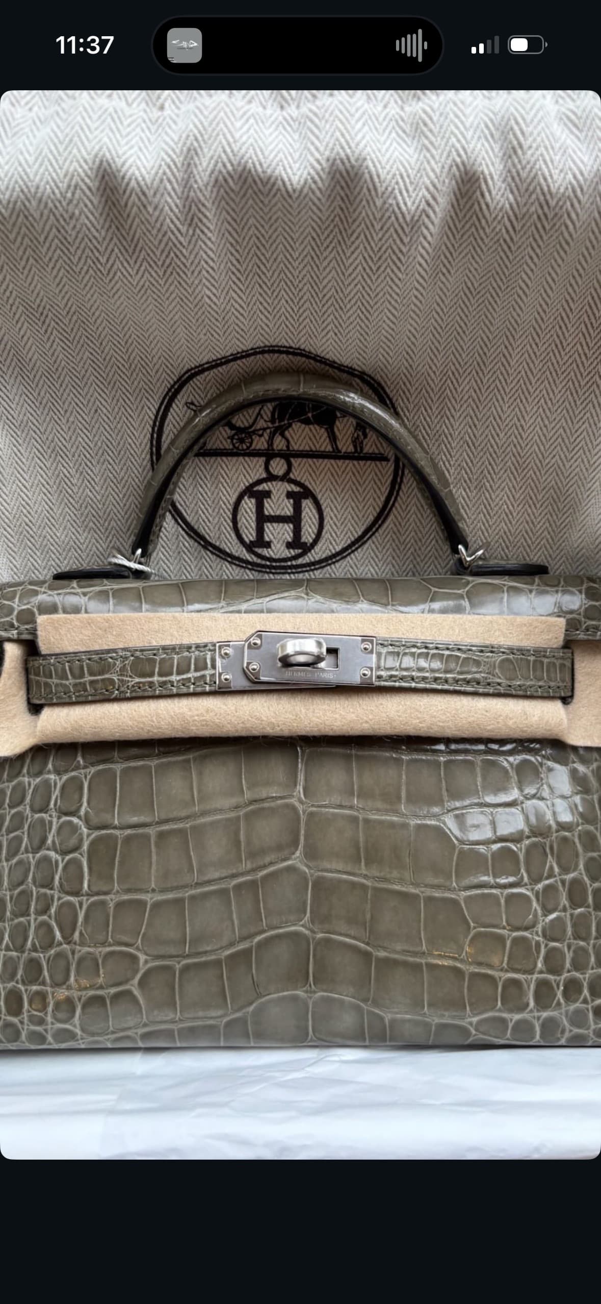Hermès Himalaya Birkin